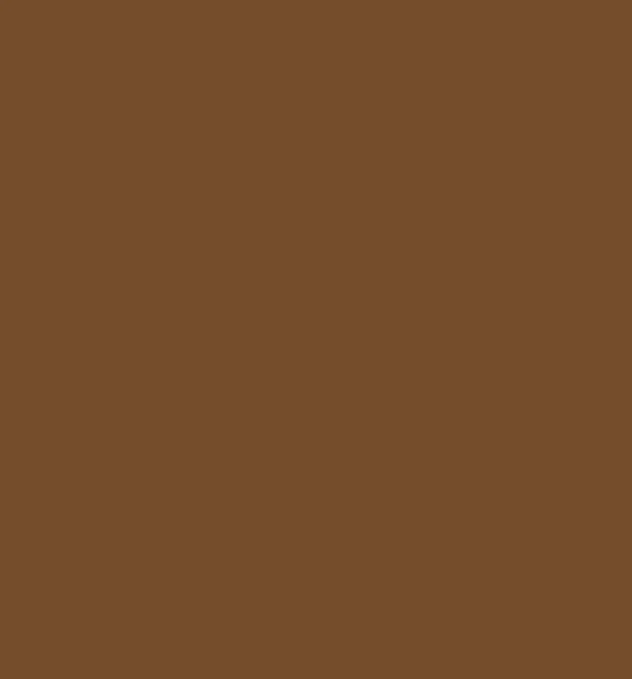 Papel Satinado Cafe — Papel satinado liso color cafe.