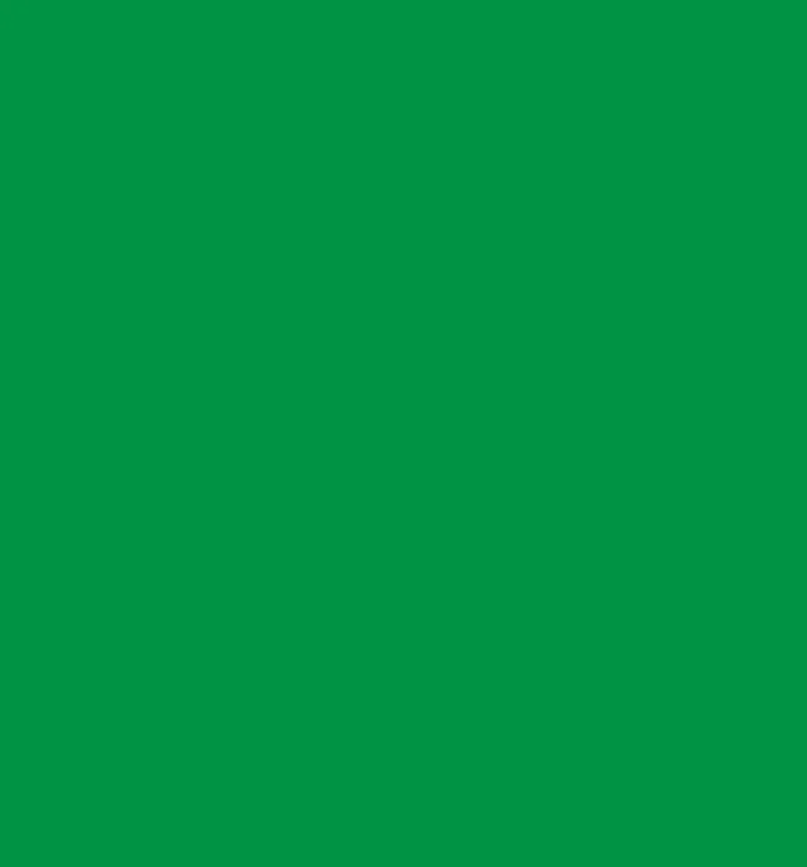 Papel Satinado Verde Navidad — Papel satinado liso color verde navidad.