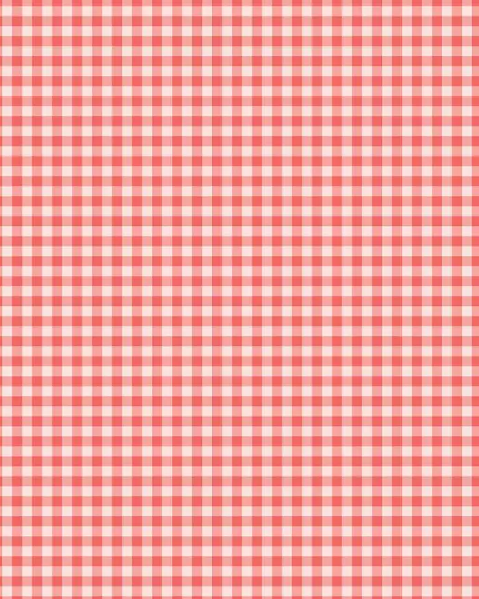 Cuadros Vichy ROJO — Papel de regalo con motivo de cuadros vichy rojo, ideal para regalos de toda ocasión.