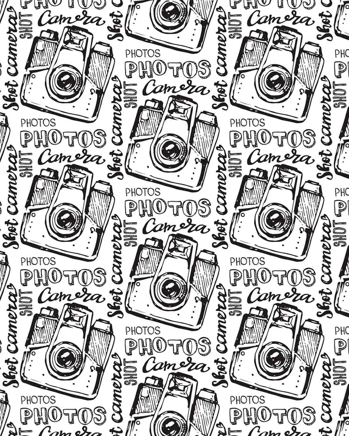 Camaras Fotograficas — Papel de regalo con motivo de camaras fotograficas, pensado para destacar en tu vitrina.