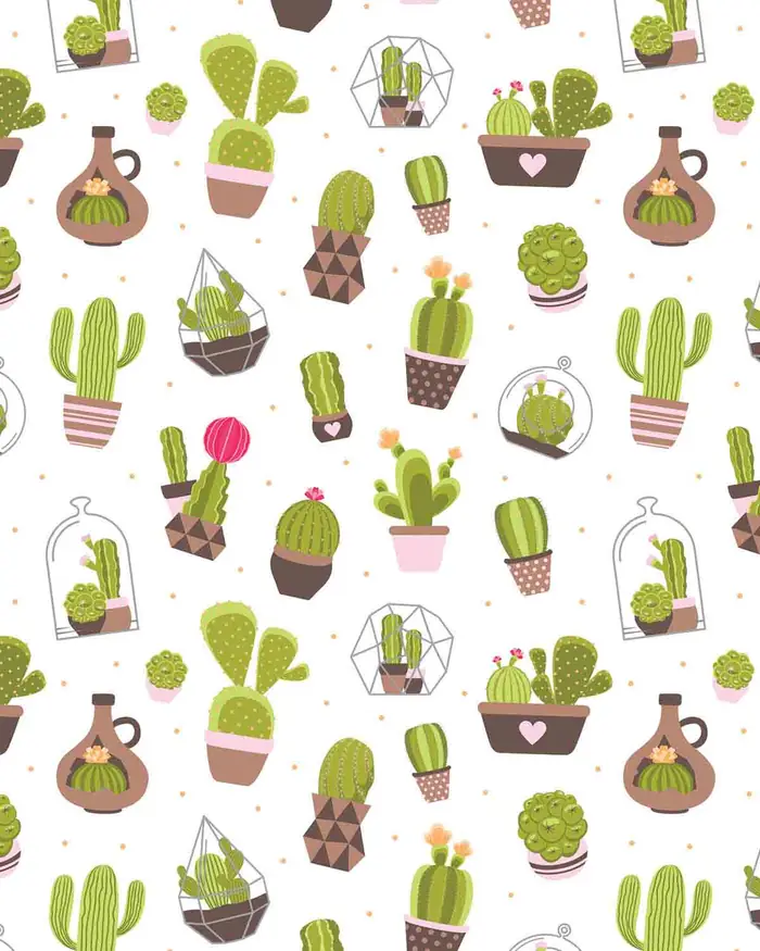 Cactus y Puntos — Papel de regalo con motivo de cactus y puntos, ideal para regalos de toda ocasión.